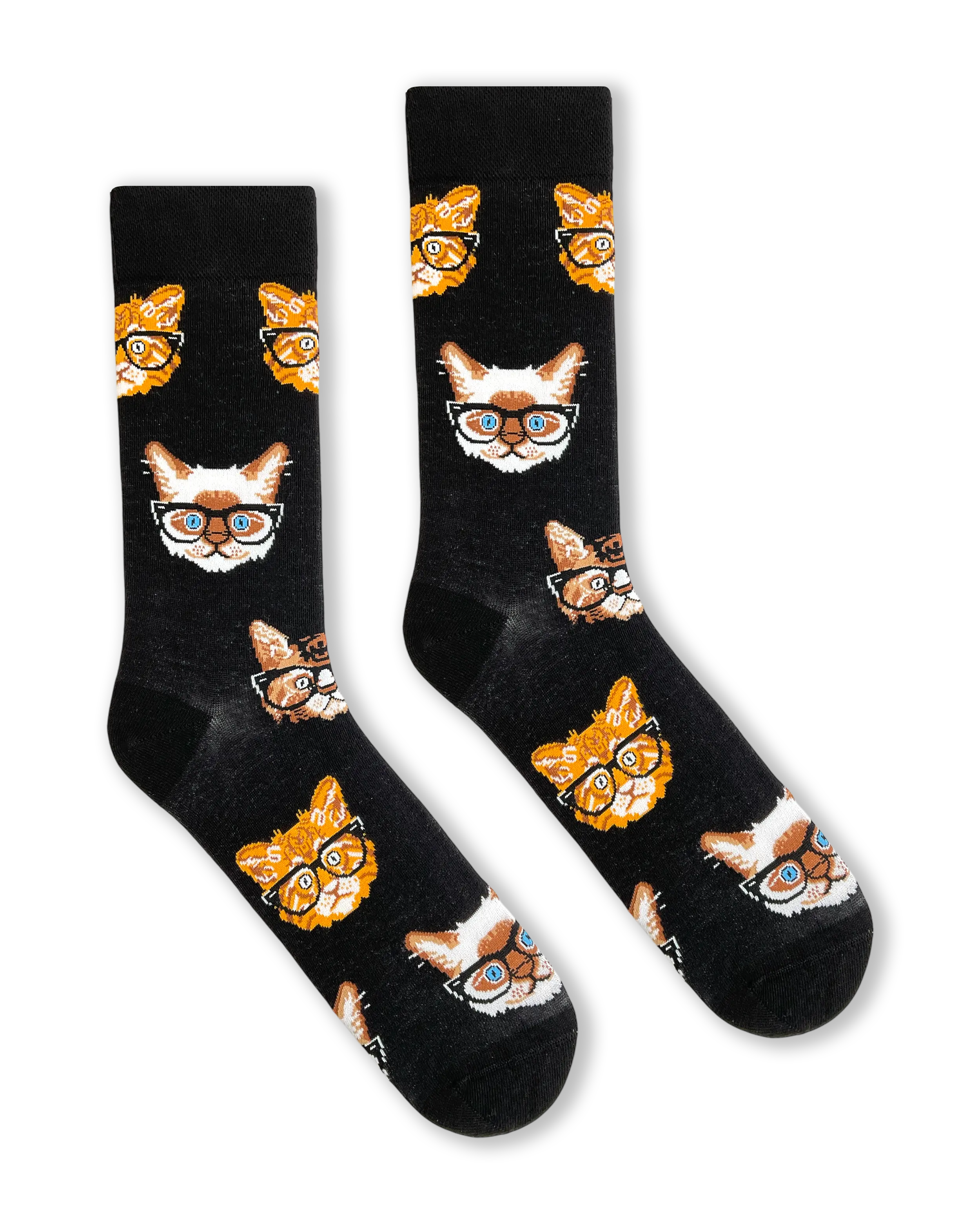 Katzen Mit Brille