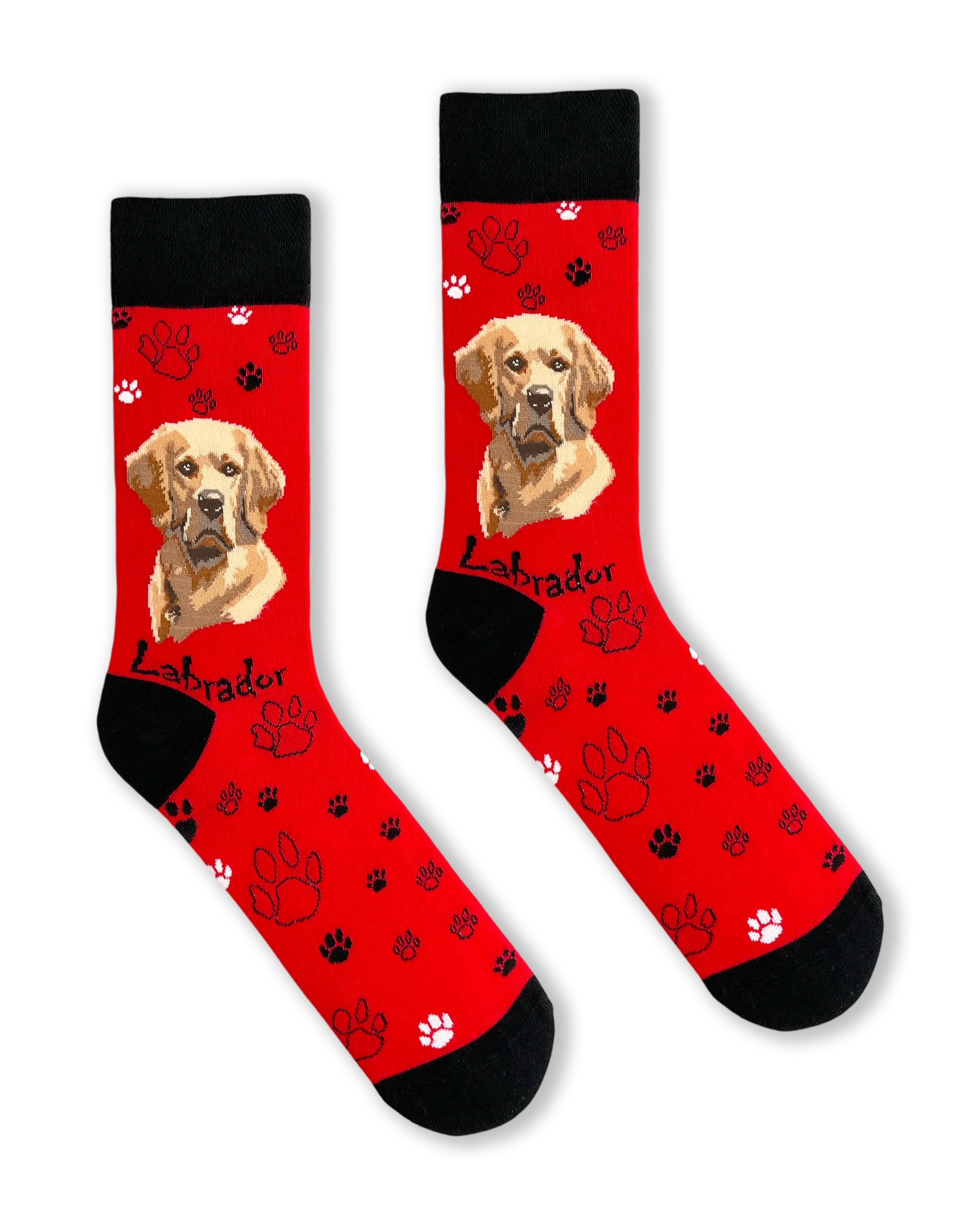 Labrador