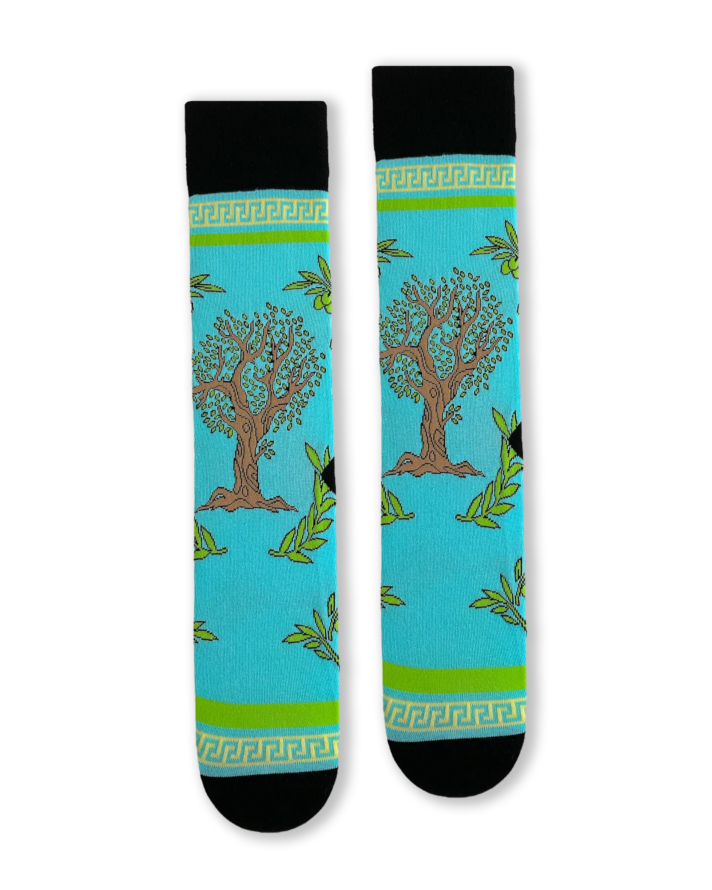 Olivenbaum